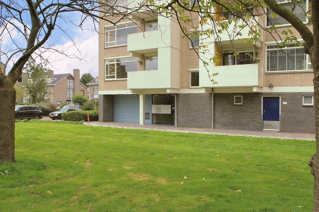 Foto 23 van Suzannaland 282