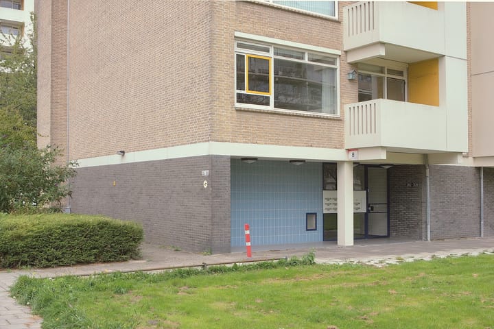 Foto 24 van Suzannaland 282