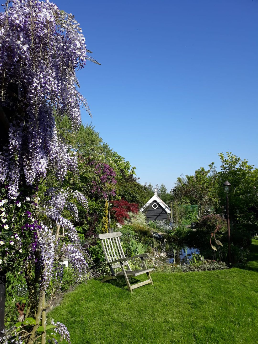 Foto 23 van Bogerdweg 41