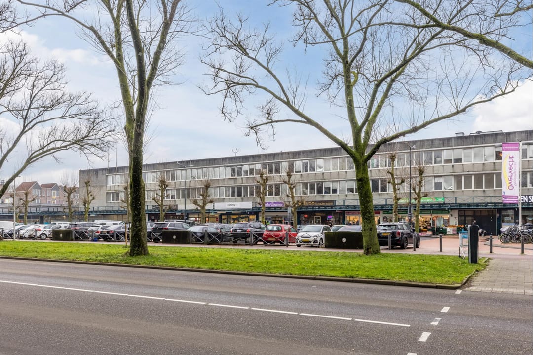 Foto 28 van Patmosdreef 178