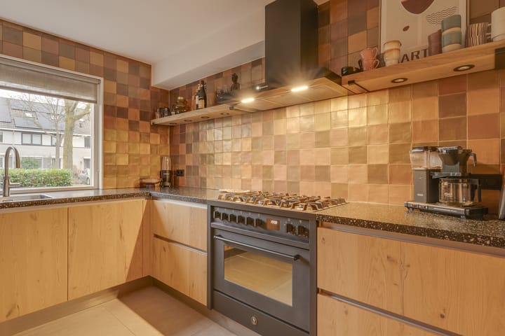 Foto 3 van Gele Varaan 11