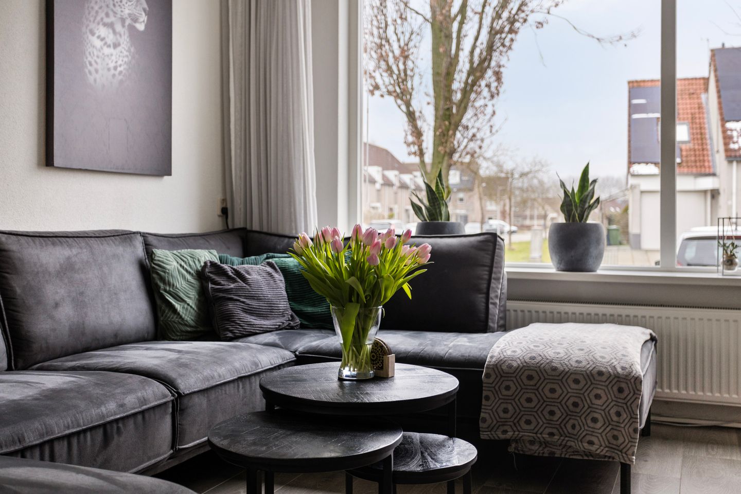 Foto 10 van Vogelwikke 16