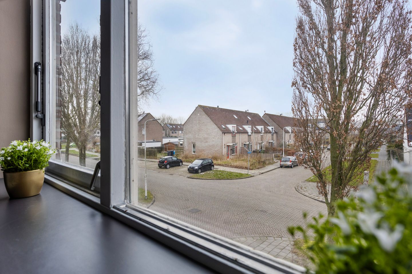 Foto 19 van Vogelwikke 16