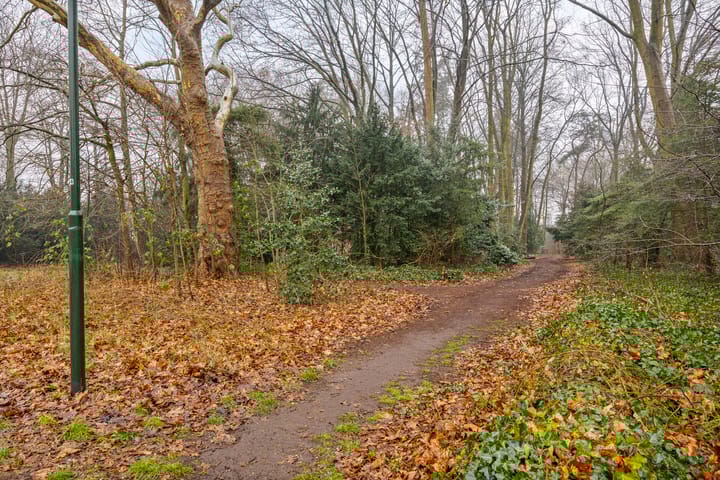 Foto 42 van Regent Smitsstraat 118