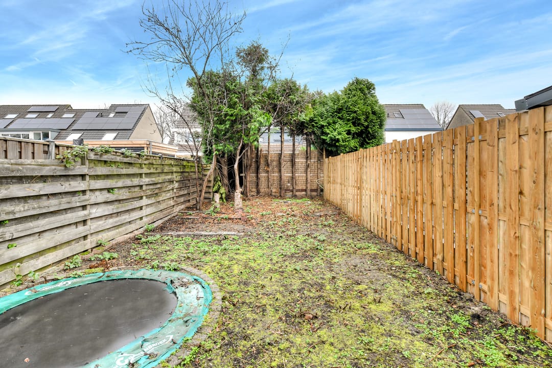 Foto 32 van Bertelsberg 69