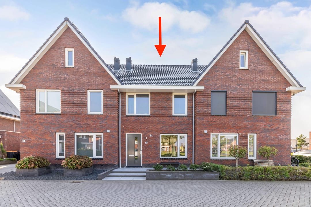 Foto 2 van Purperreiger 4