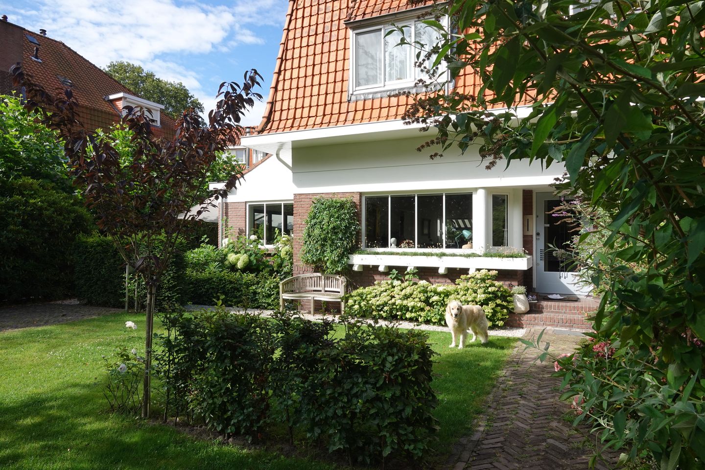 Foto 85 van Beukenhorstlaan 8