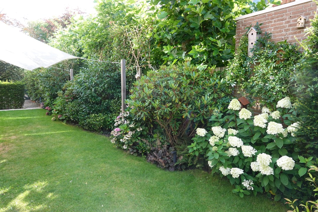 Foto 92 van Beukenhorstlaan 8