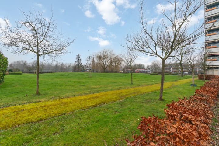 Photo 23 of Aalscholversingel 60