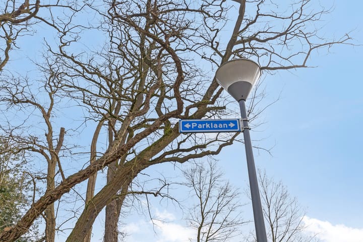 Foto 48 van Parklaan 17