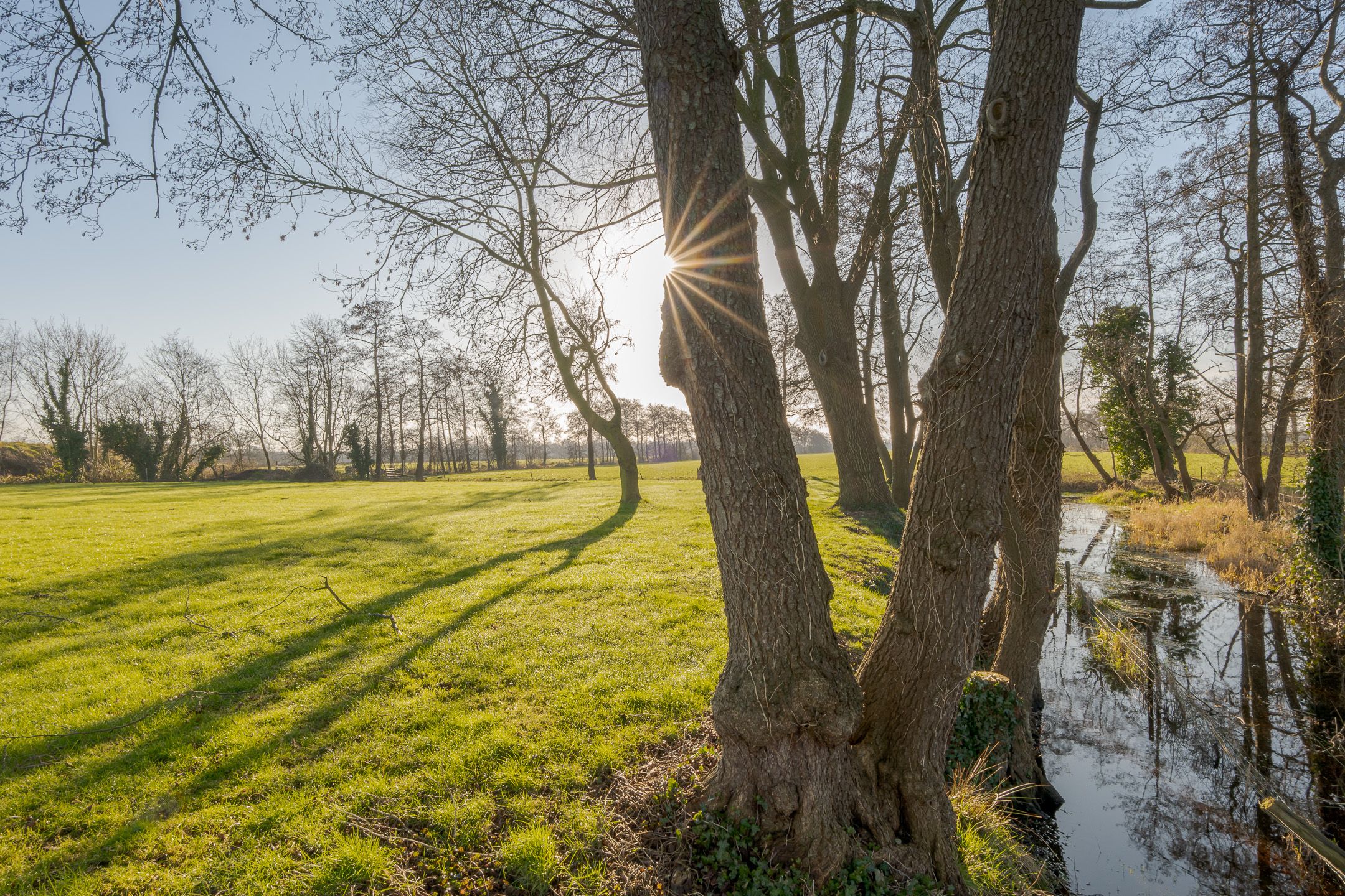 Foto 6 van Holmerpad 9