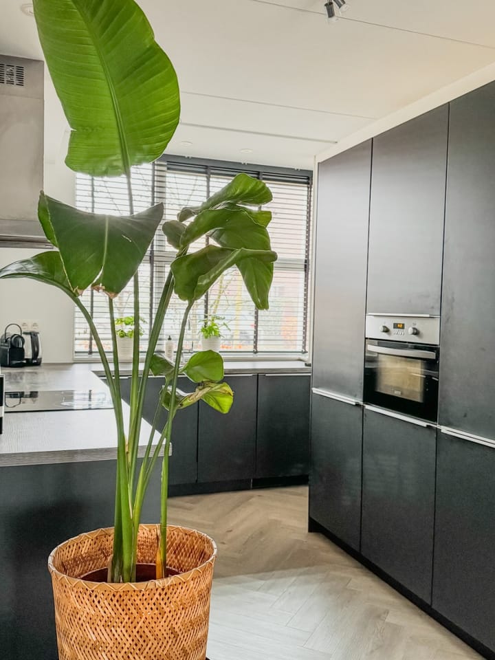 Foto 3 van Bongeveen 7