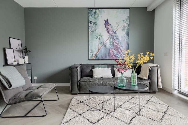 Foto 10 van Bongeveen 7