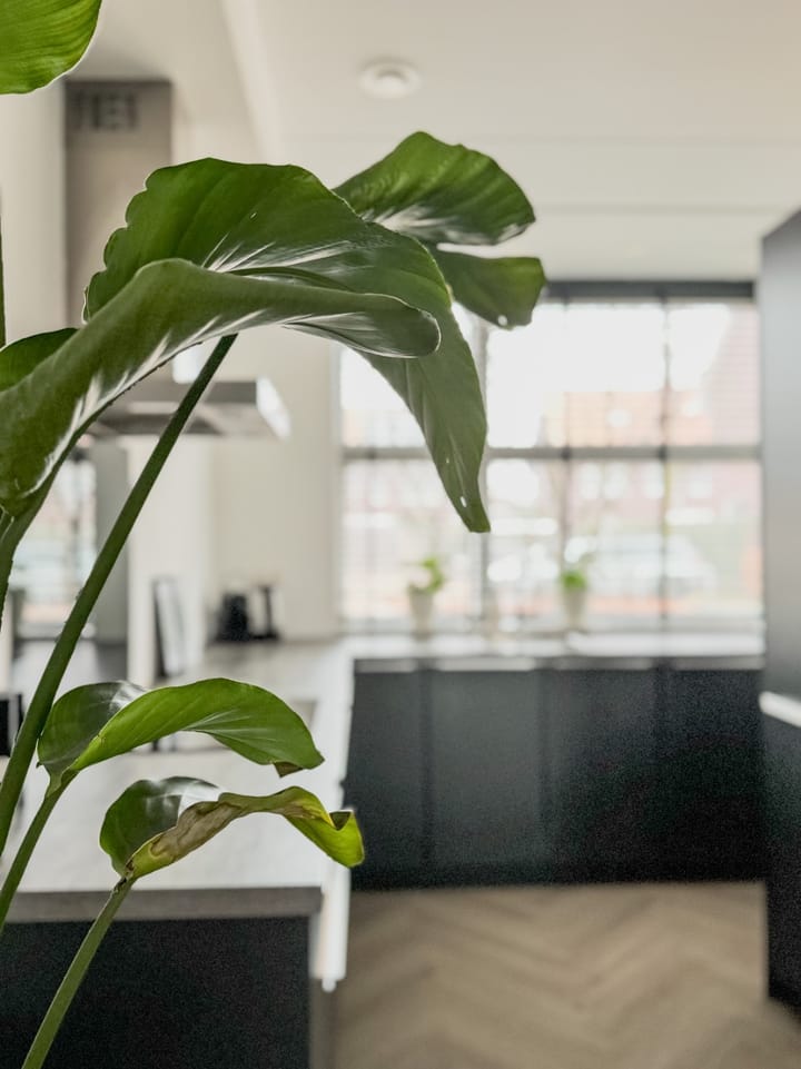 Foto 19 van Bongeveen 7