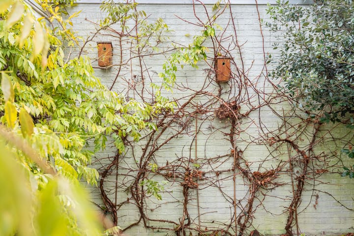 Foto 35 van Multatulihof 4