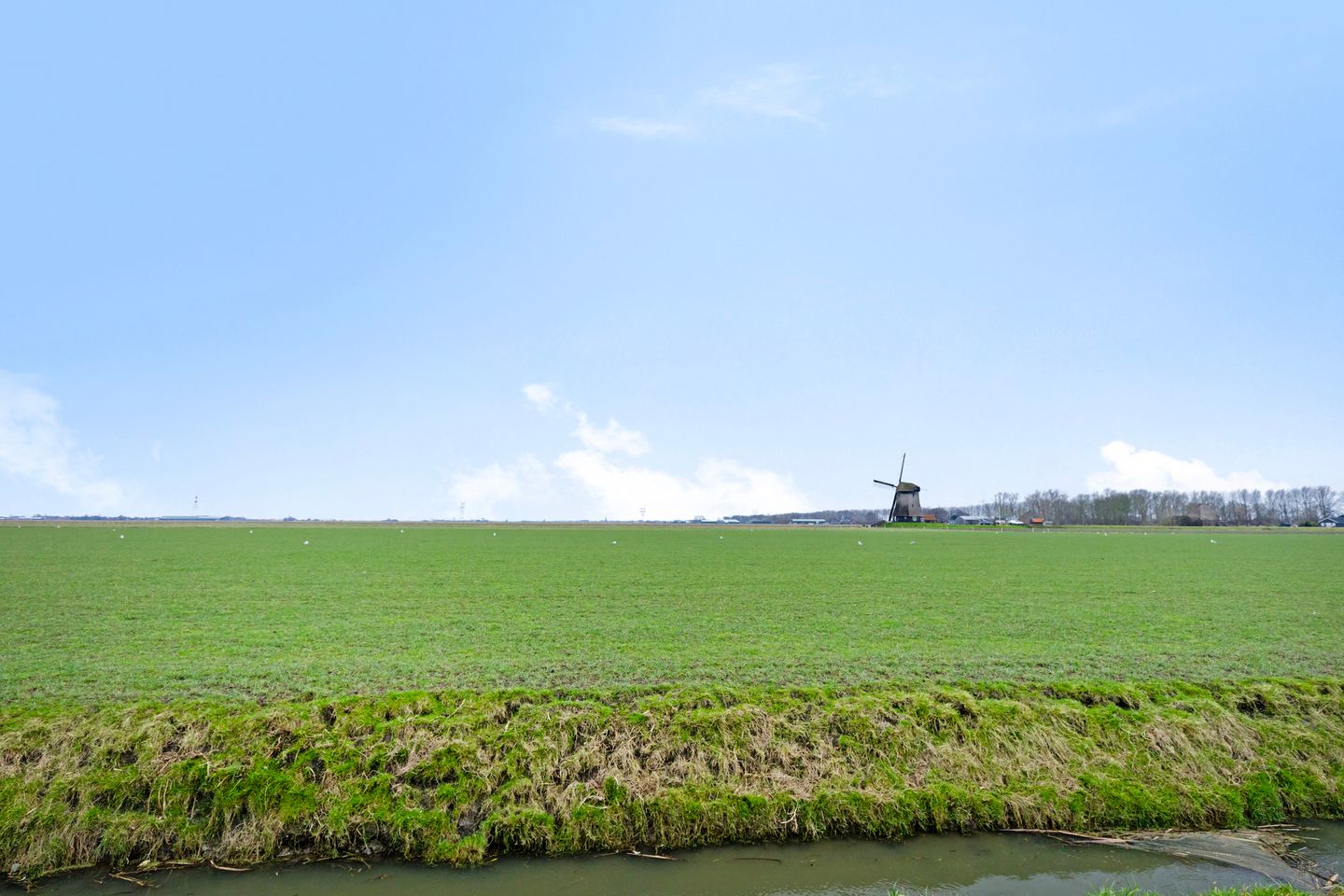 Foto 55 van Singel 11