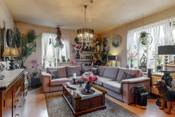 Foto 2 van Vlinderveen 2264