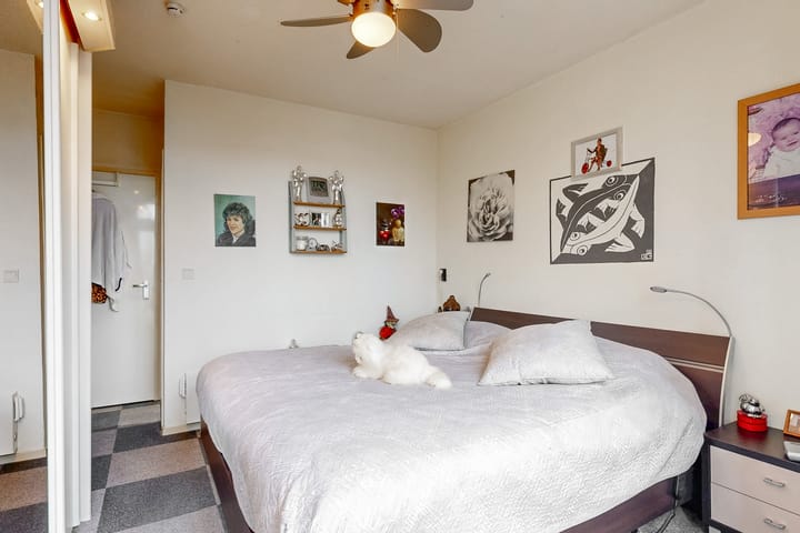 Foto 3 van Vlinderveen 2264