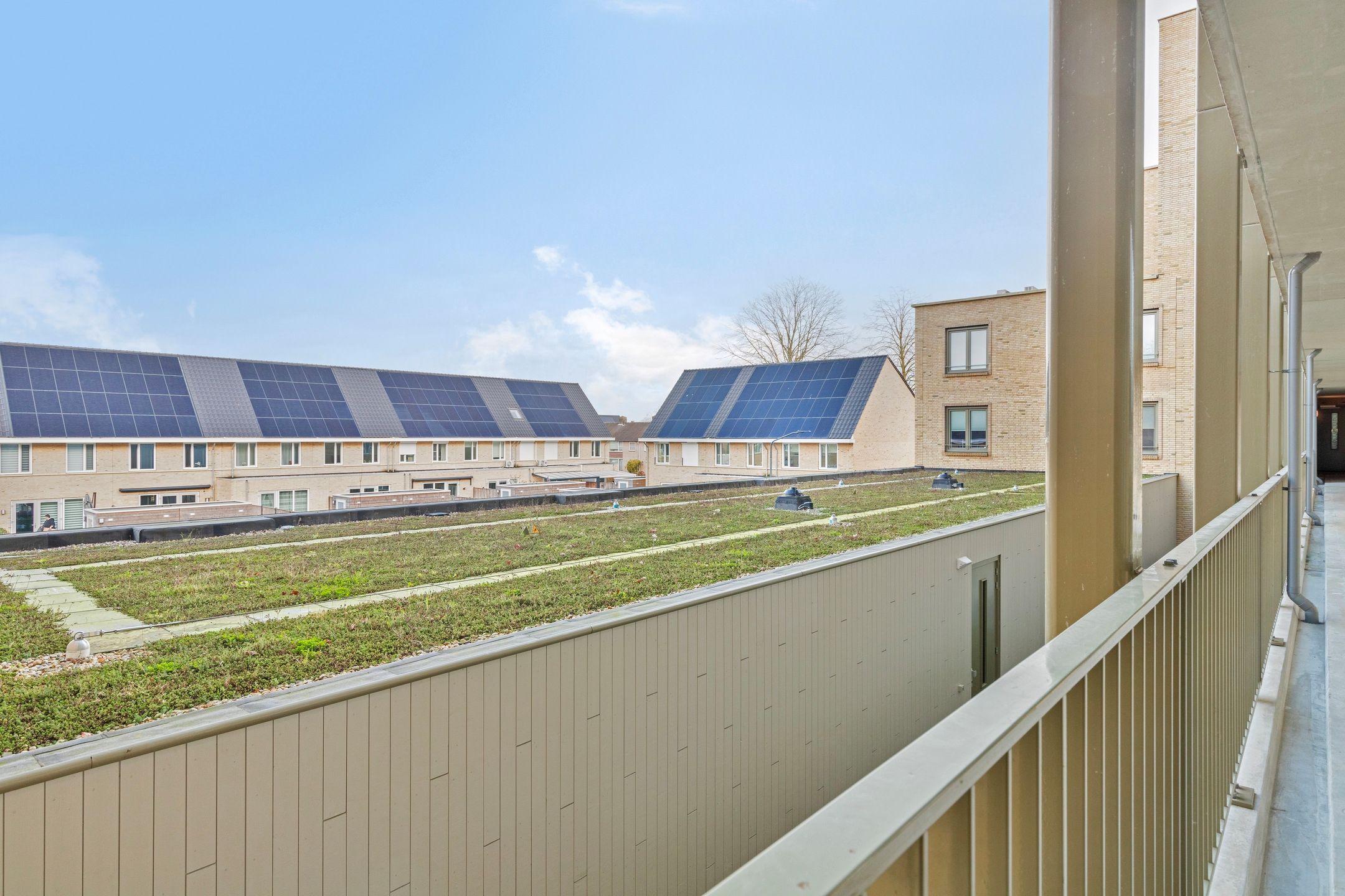 Foto 33 van Heinsiusstraat 45