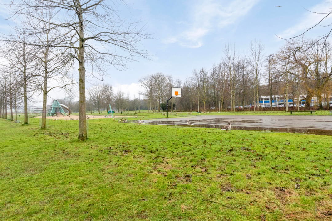 Foto 31 van Cloekplein 42