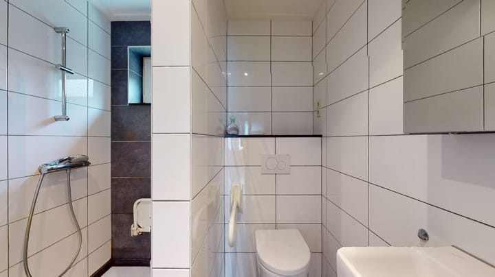 Foto 5 van Voorterstraat 495-A