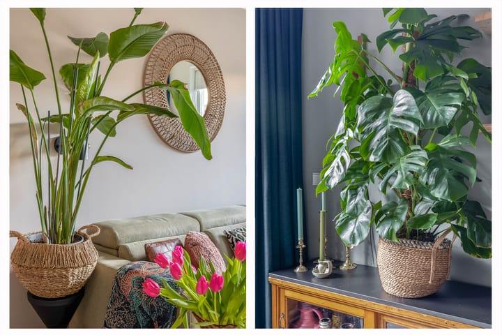 Foto 6 van Lisbloemstraat 24