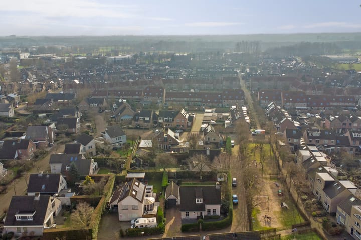 Foto 5 van Aronskelk 20