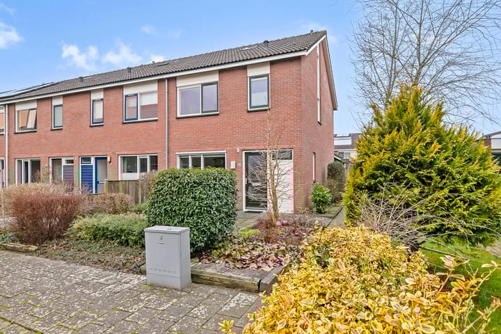 Foto 2 van Goudenregen 80