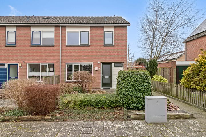 Foto 3 van Goudenregen 80