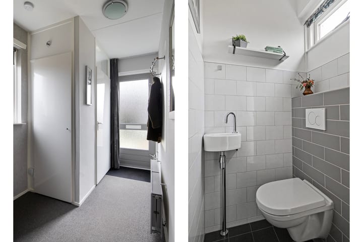 Foto 5 van Goudenregen 80