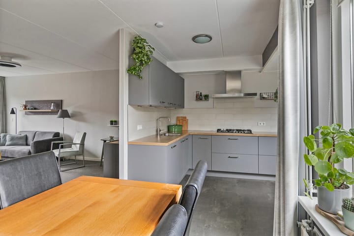 Foto 10 van Goudenregen 80