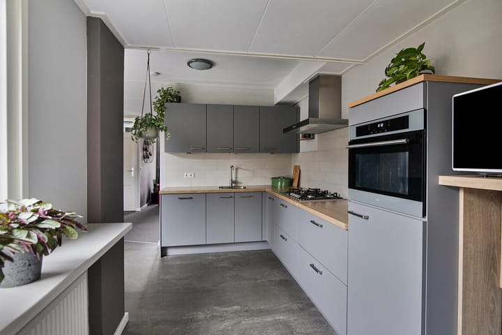 Foto 11 van Goudenregen 80