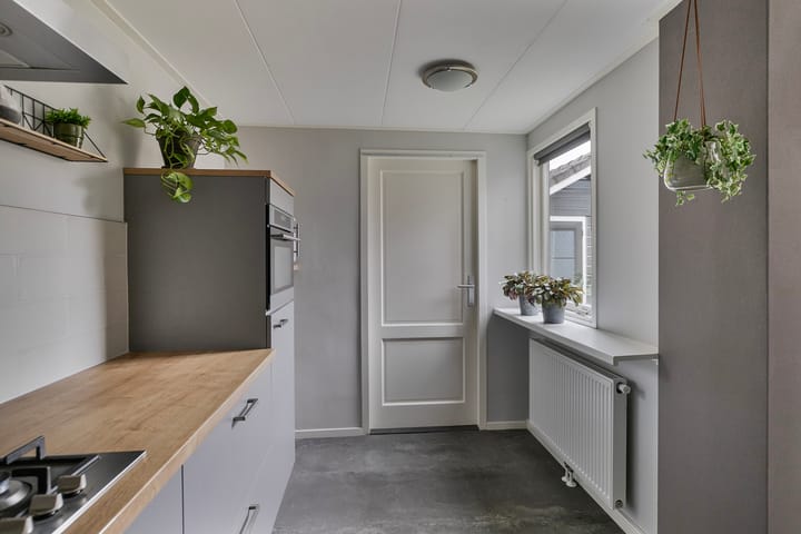 Foto 12 van Goudenregen 80