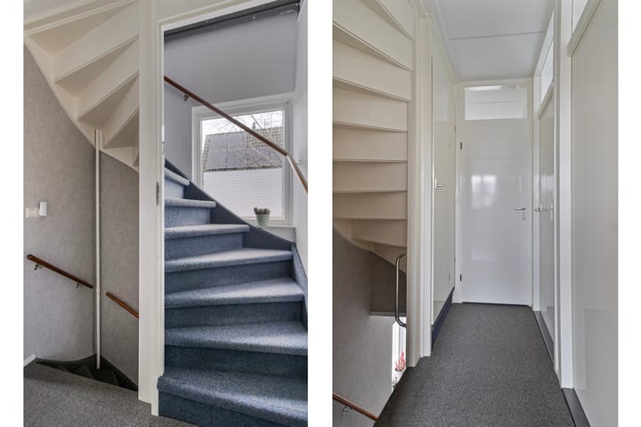 Foto 14 van Goudenregen 80