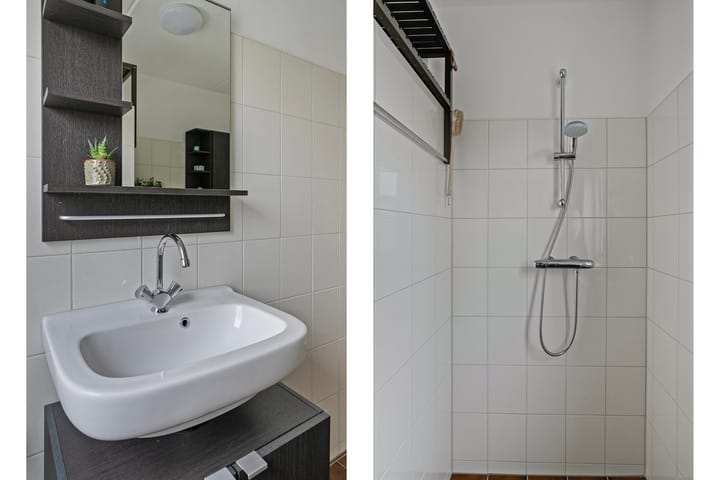 Foto 18 van Goudenregen 80