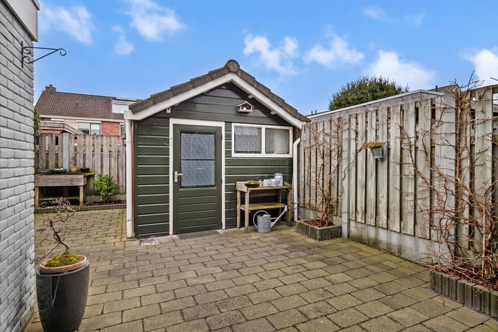 Foto 28 van Goudenregen 80