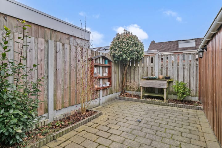 Foto 29 van Goudenregen 80