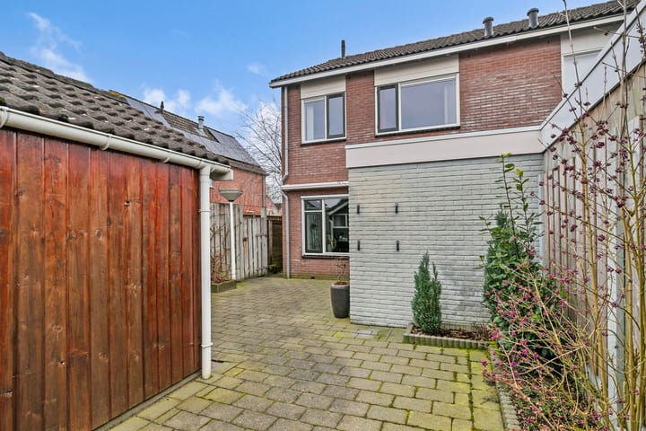 Foto 30 van Goudenregen 80