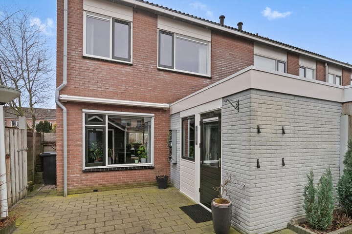 Foto 31 van Goudenregen 80