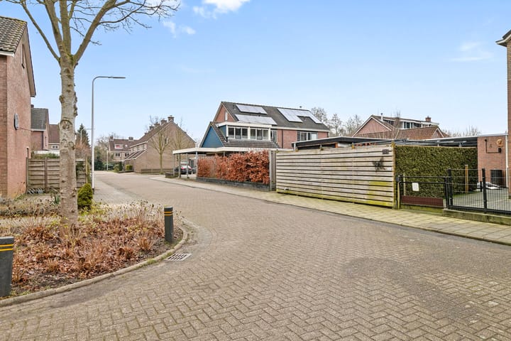 Foto 34 van Goudenregen 80