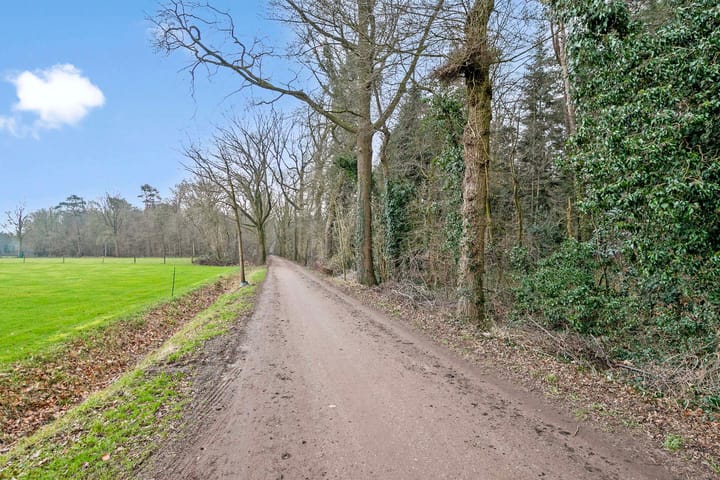 Foto 35 van Goudenregen 80