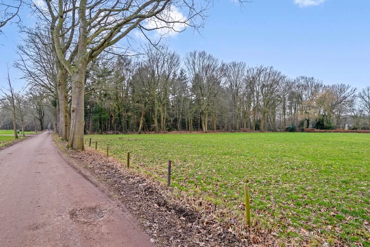 Foto 36 van Goudenregen 80