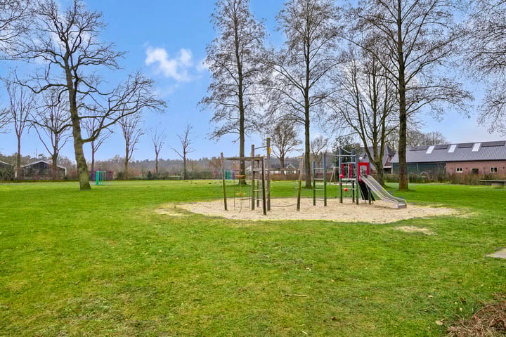 Foto 37 van Goudenregen 80