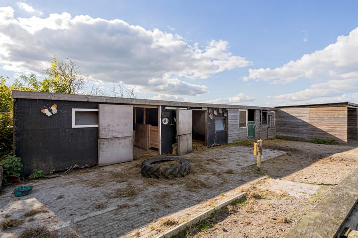 Foto 50 van Noordercolonie 34