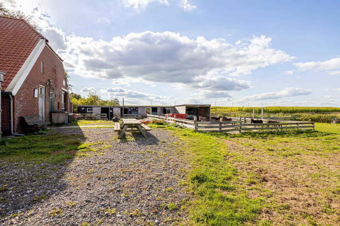 Foto 53 van Noordercolonie 34