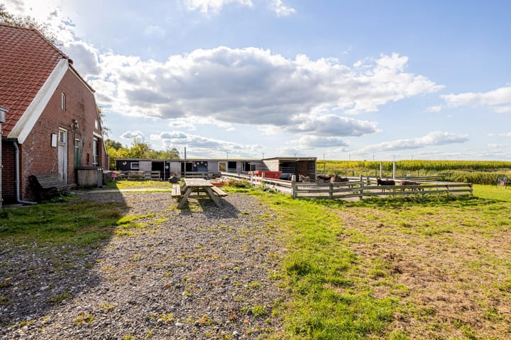 Foto 53 van Noordercolonie 34