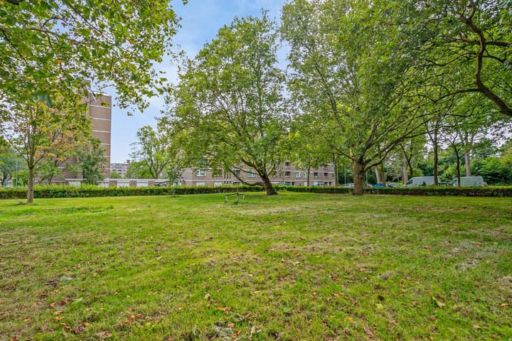 Foto 31 van Cornelis Bloemaertsingel 9