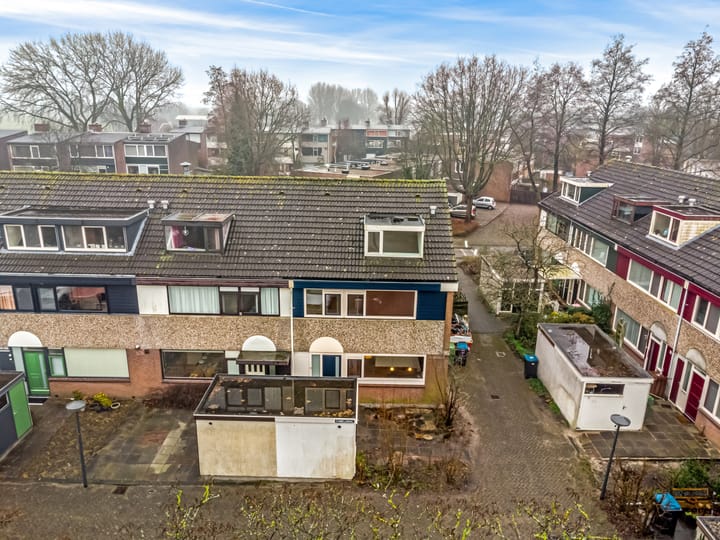 Foto 6 van Cameliadal 1