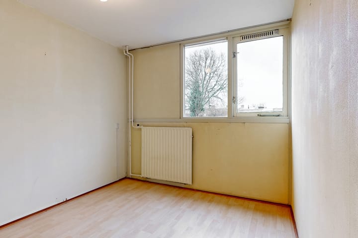 Foto 13 van Cameliadal 1