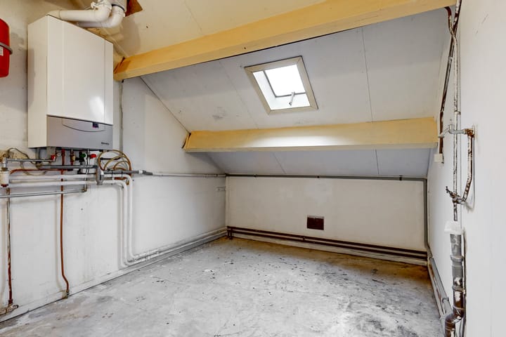 Foto 25 van Cameliadal 1